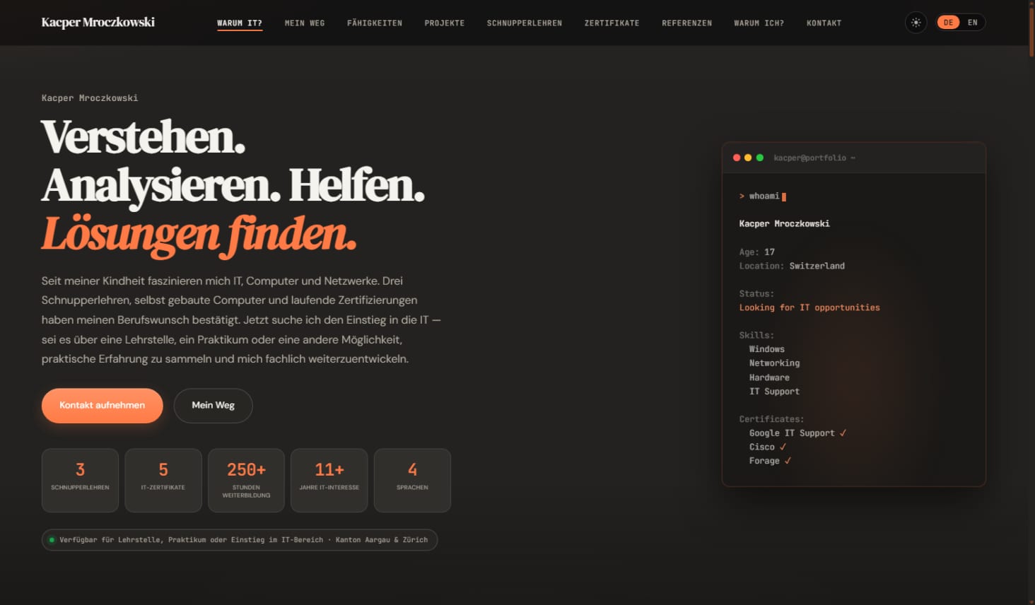 Screenshot dieser Portfolio-Website mit Hero-Bereich und Terminal